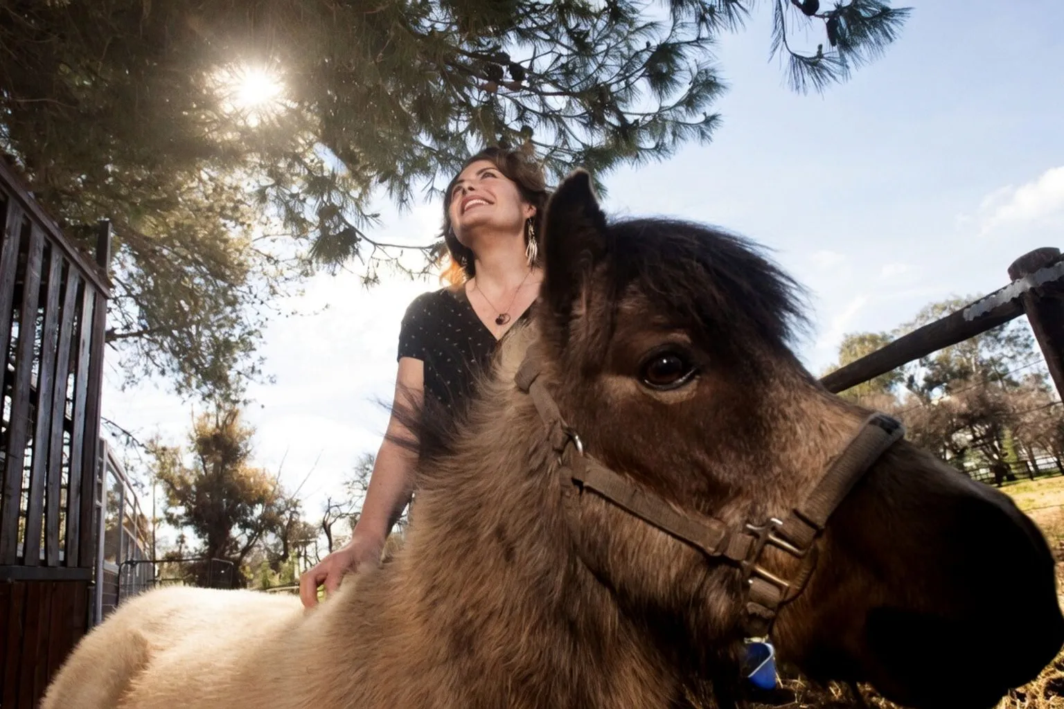 Bienestar compartido en terapias con caballos: la clave de la conexión bidireccional